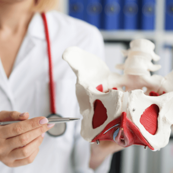 what does pelvic floor treat - edmonton